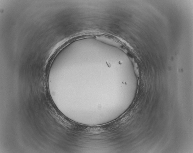 X0000072981168200608111734