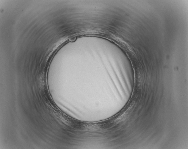 X0000072981170200608111734