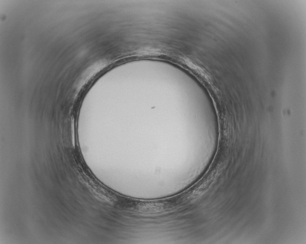 X0000072981171200608111734