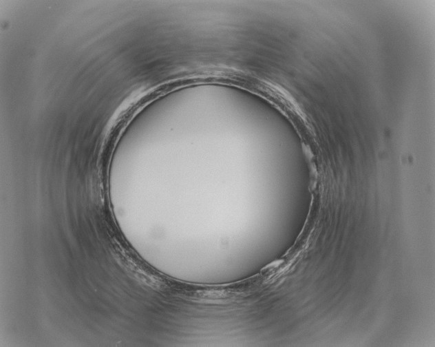 X0000072981172200608111734