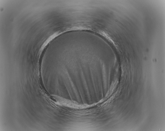 X0000072981173200608111734