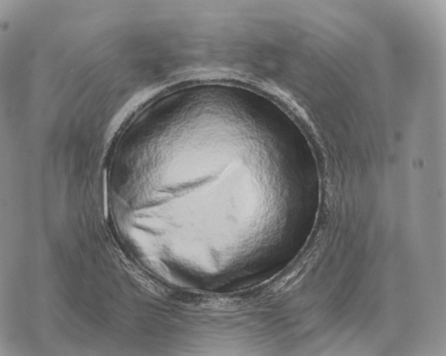 X0000072981175200608111734