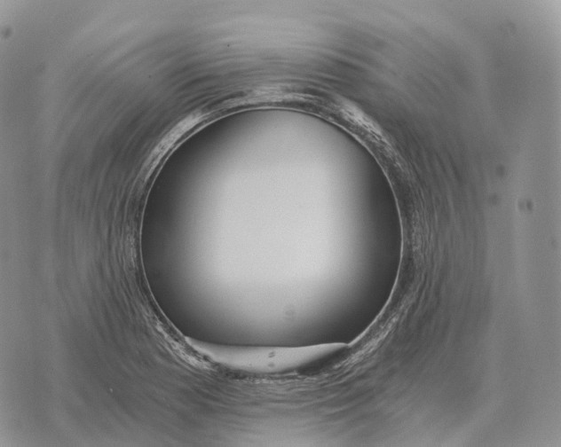 X0000072981177200608111734