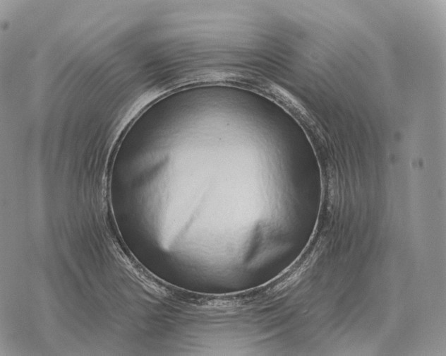 X0000072981178200608111734