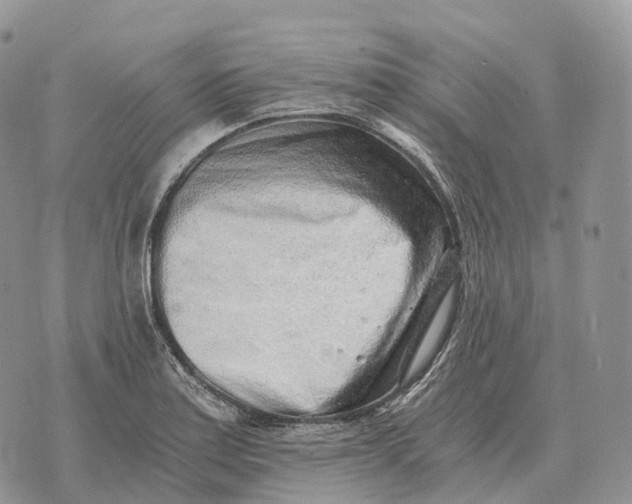 X0000072981179200608111734