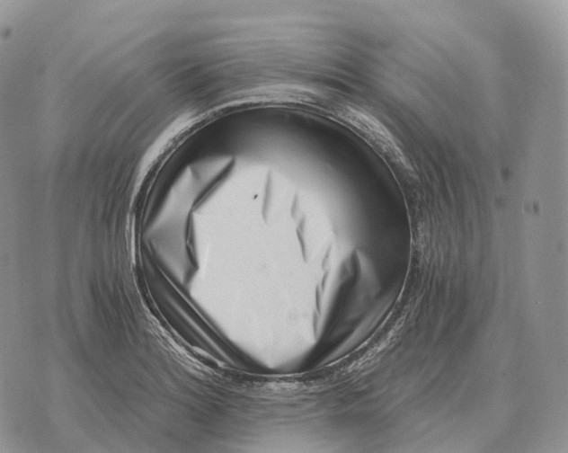 X0000072981180200608111734