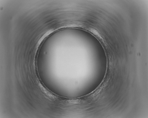 X0000072981181200608111734