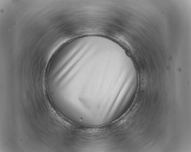 X0000072981182200608111734