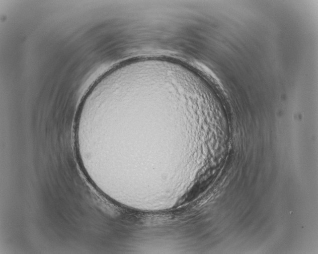 X0000072981183200608111734