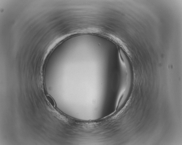 X0000072981184200608111734