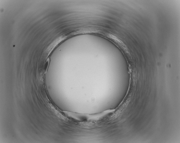 X0000072981185200608111734