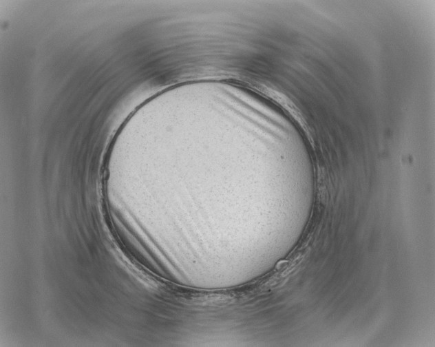 X0000072981187200608111733