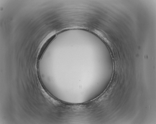 X0000072981189200608111733