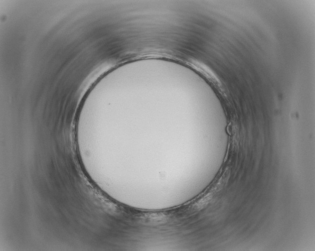 X0000072981190200608111733