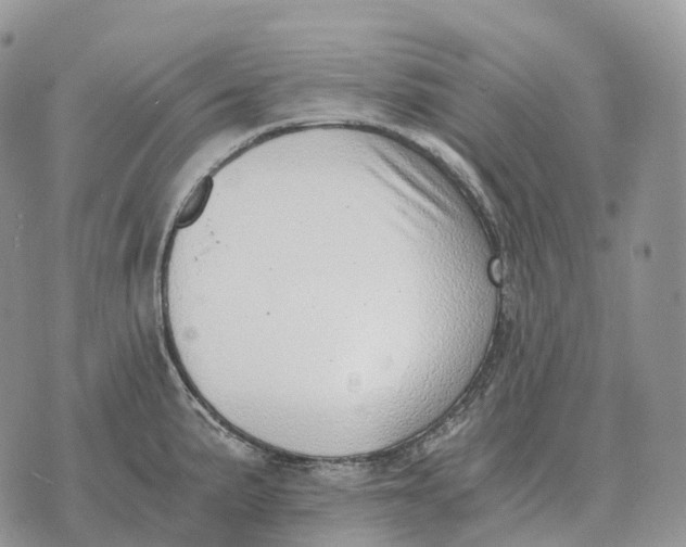 X0000072981191200608111733