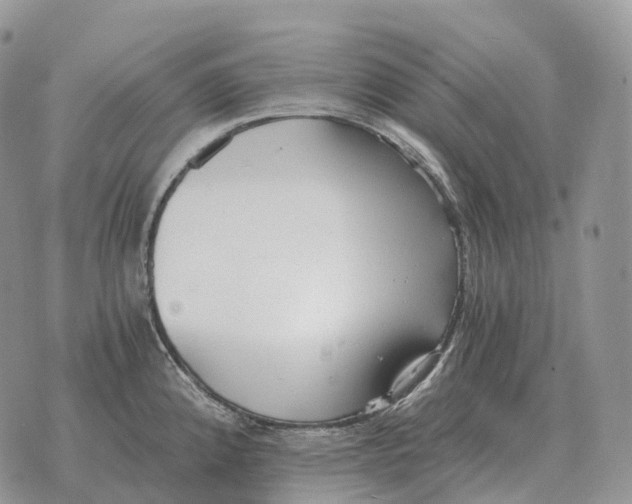 X0000072981192200608111733