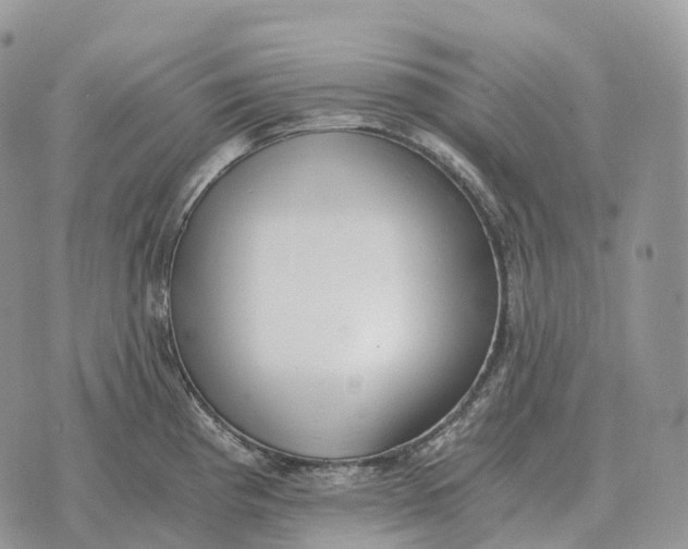 X0000072981193200608111733