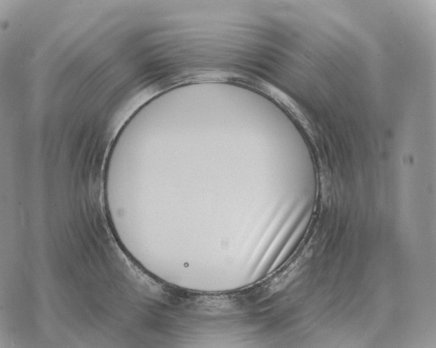 X0000072981194200608111733