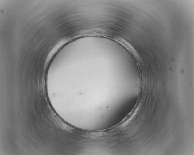 X0000072981196200608111733