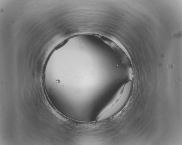 X0000072981197200608111733