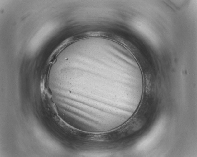 X0000072981198200608111733