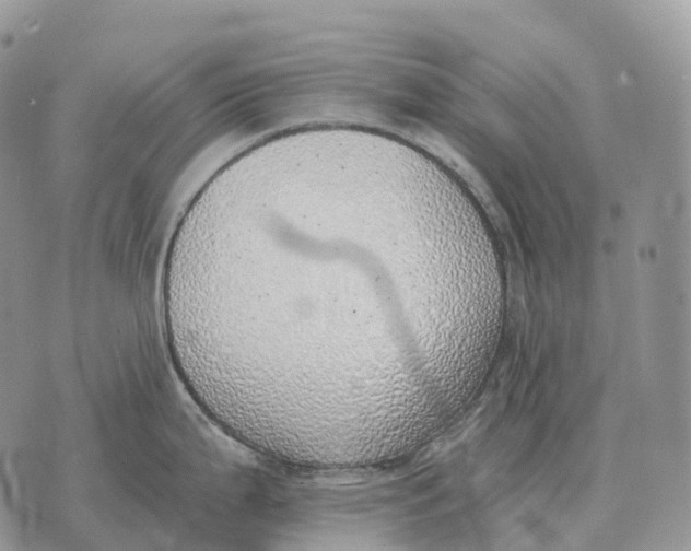 X0000072981199200608111733