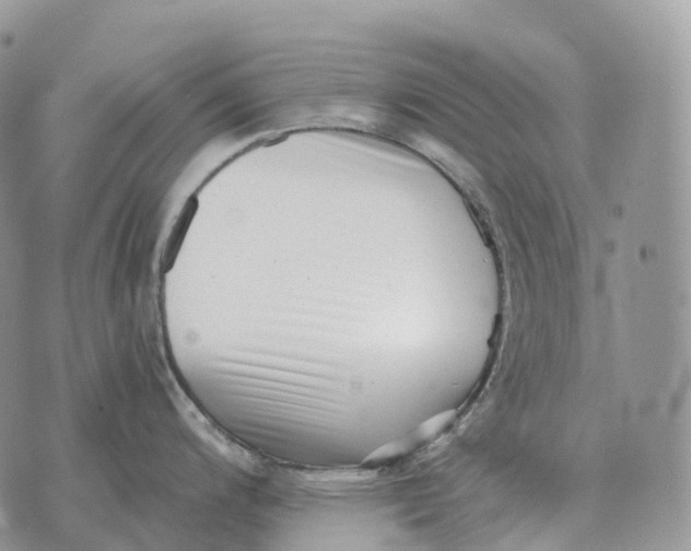 X0000072981200200608111733