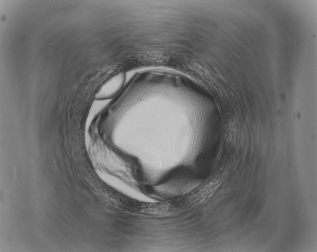 X0000072981201200608111732