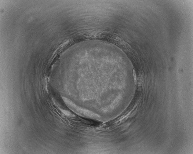 X0000072981202200608111733