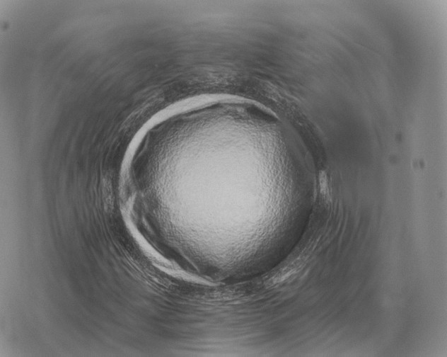 X0000072981203200608111733