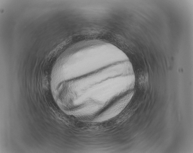 X0000072981204200608111733