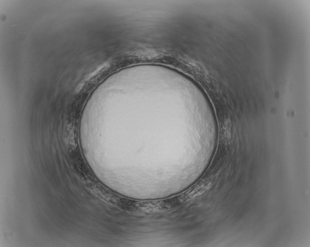 X0000072981205200608111733