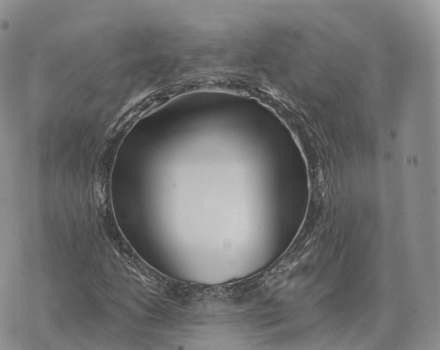 X0000072981206200608111733