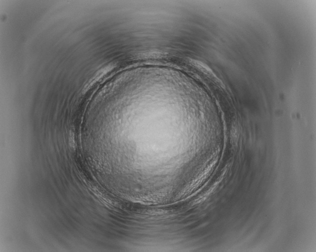 X0000072981209200608111733