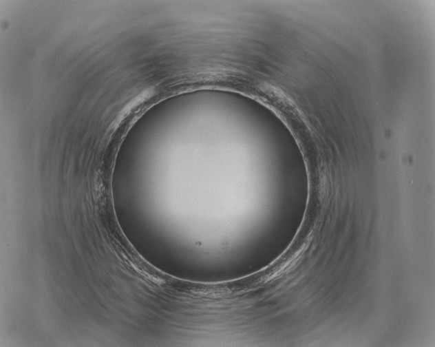 X0000072981210200608111733