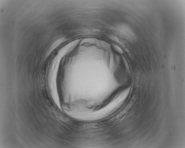 X0000072981211200608111733