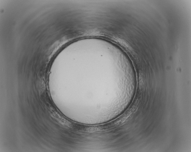 X0000072981212200608111733