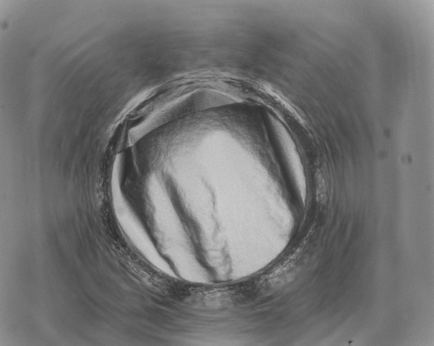 X0000072981213200608111733