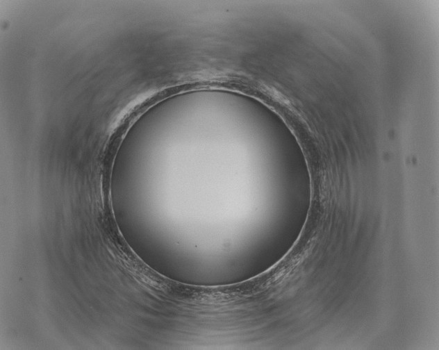 X0000072981214200608111733