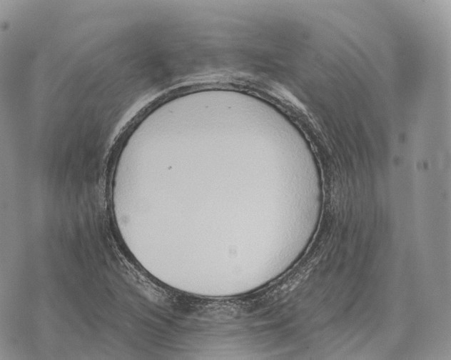 X0000072981216200608111733