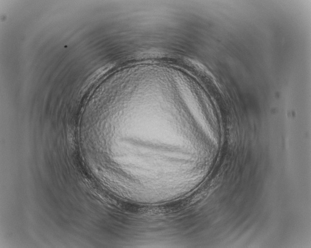 X0000072981217200608111733