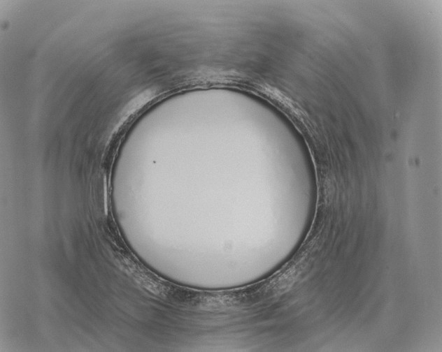 X0000072981219200608111733