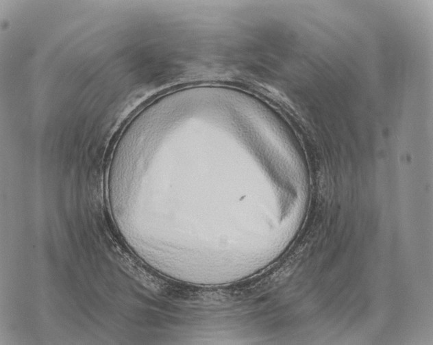 X0000072981220200608111733