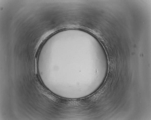 X0000072981223200608111733