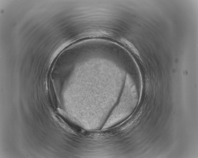 X0000072981226200608111733