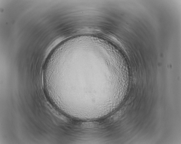 X0000072981227200608111733