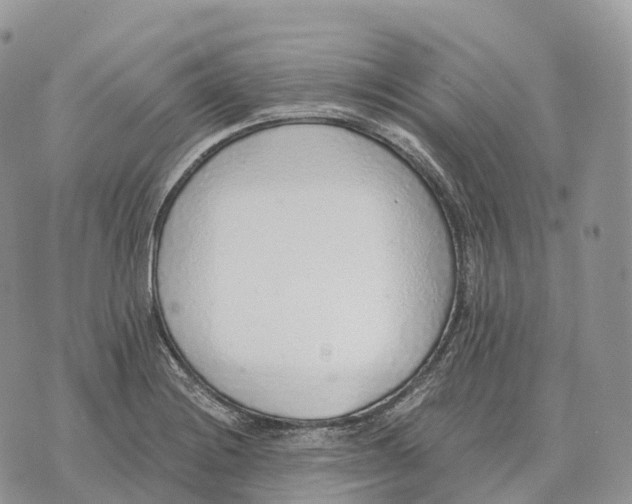 X0000072981228200608111733