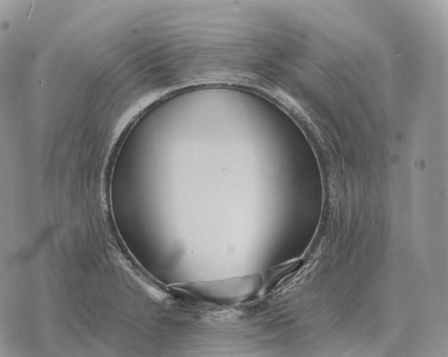 X0000072981230200608111733