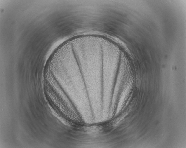 X0000072981231200608111733