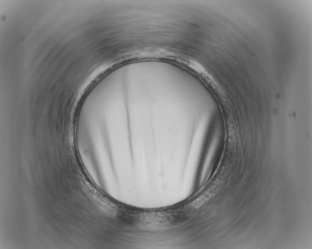 X0000072981232200608111733